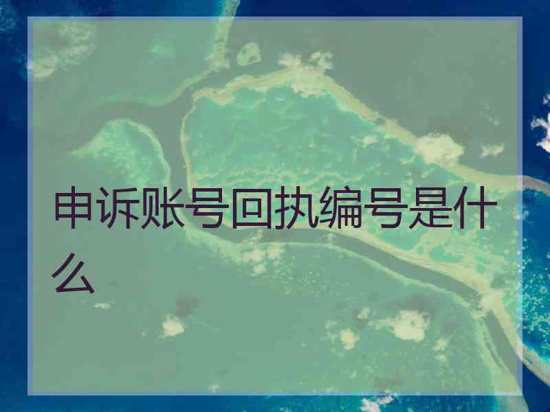 申诉账号回执编号是什么 申诉账号回执编号是什么