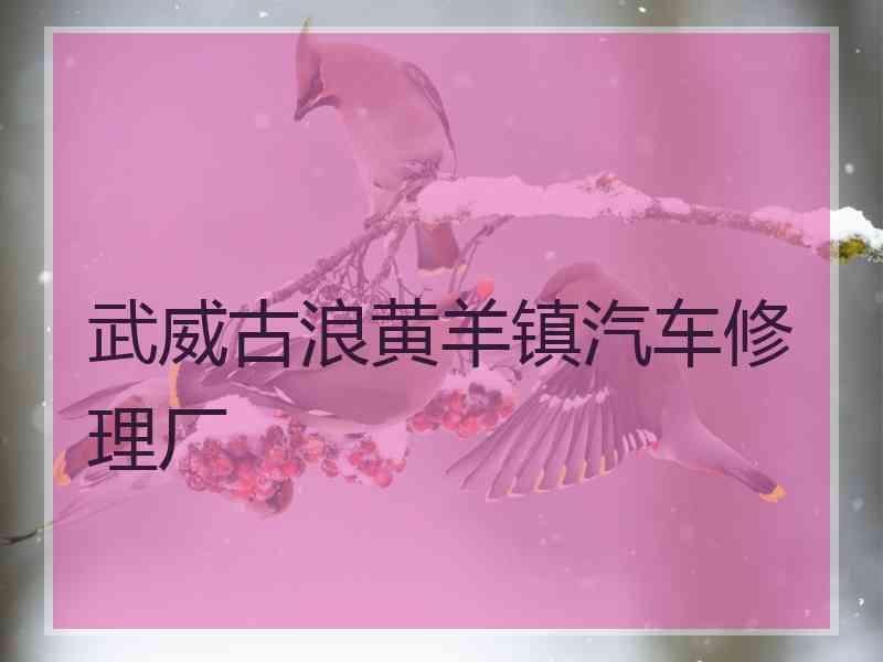 武威古浪黄羊镇汽车修理厂 武威古浪黄羊镇汽车修理厂
