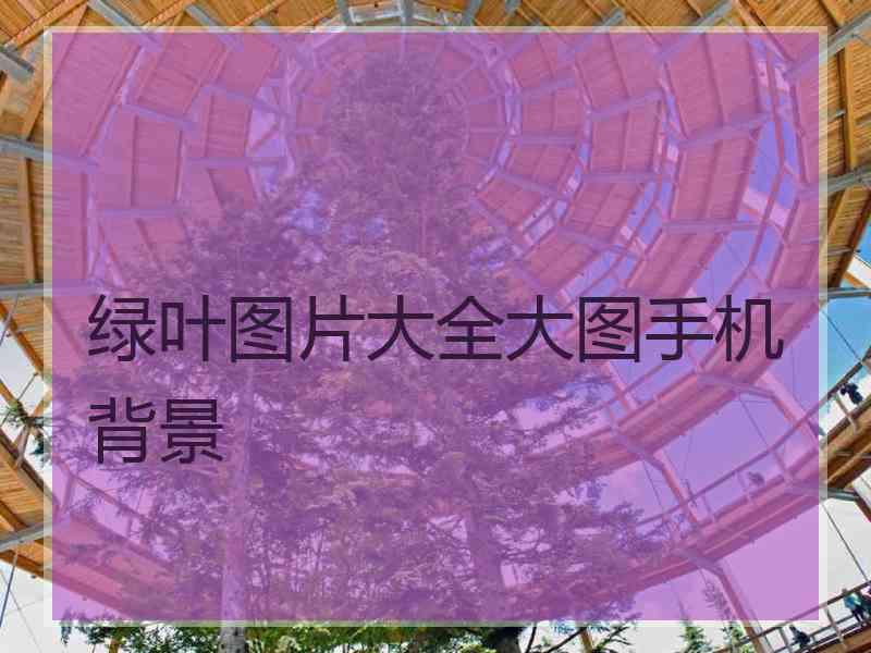 绿叶图片大全大图手机背景 绿叶图片大全大图手机背景