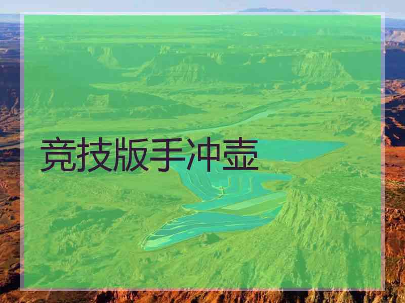 竞技版手冲壶 竞技版手冲壶