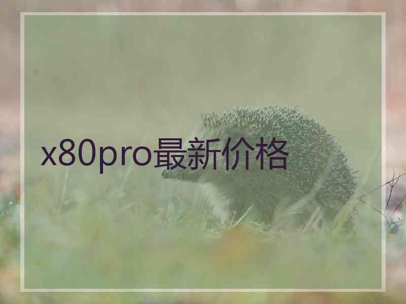 x80pro最新价格 x80pro最新价格