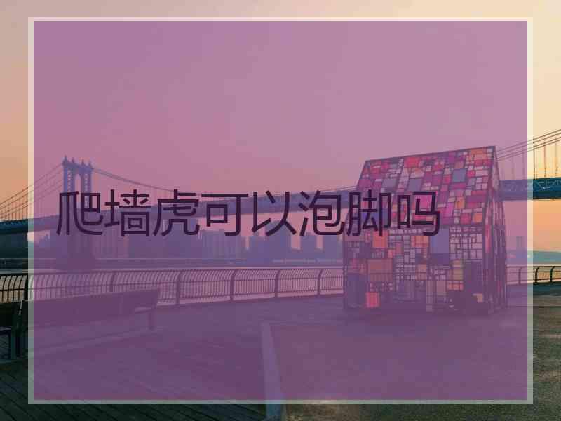 爬墙虎可以泡脚吗 爬墙虎可以泡脚吗