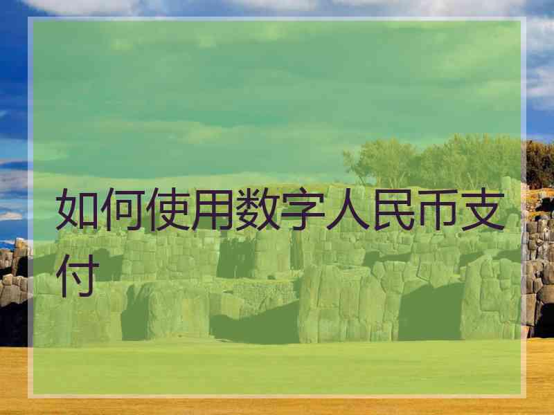 如何使用数字人民币支付 如何使用数字人民币支付