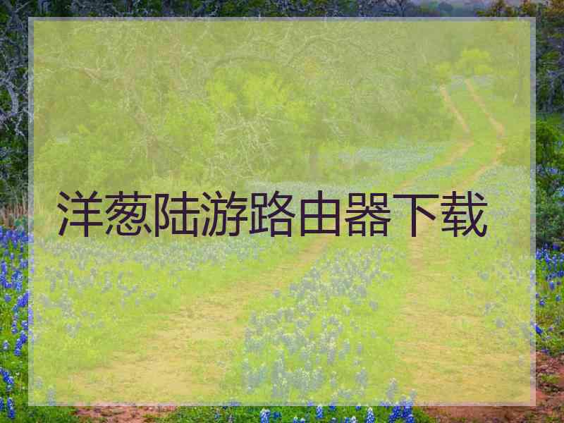 洋葱陆游路由器下载 洋葱陆游路由器下载