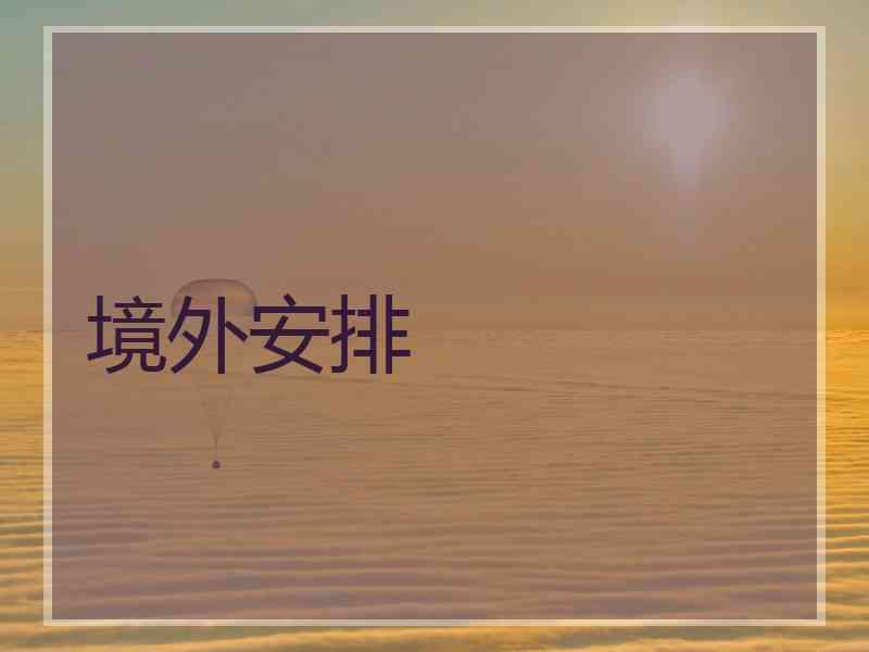 境外安排 境外安排