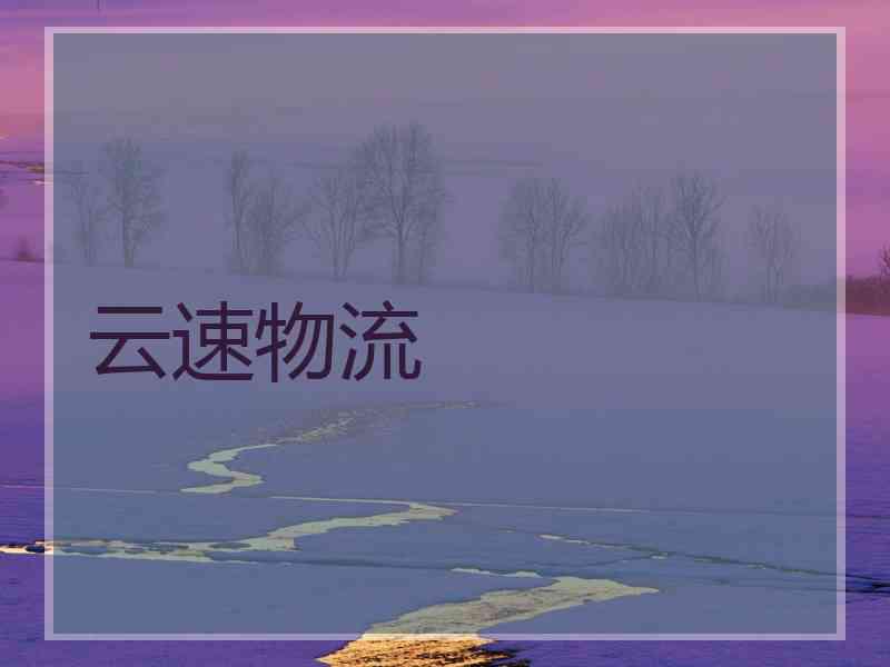 云速物流 云速物流