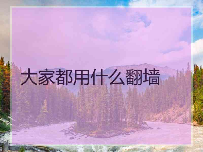 大家都用什么翻墙 大家都用什么翻墙