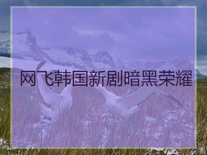 网飞韩国新剧暗黑荣耀 网飞韩国新剧暗黑荣耀