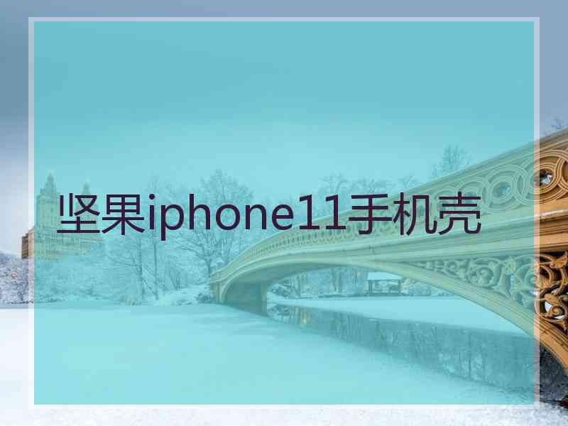 坚果iphone11手机壳