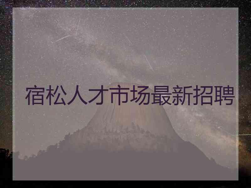 宿松人才市场最新招聘 宿松人才市场最新招聘