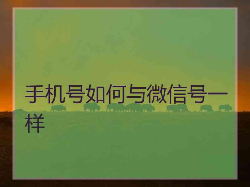 手机号如何与微信号一样 手机号如何与微信号一样