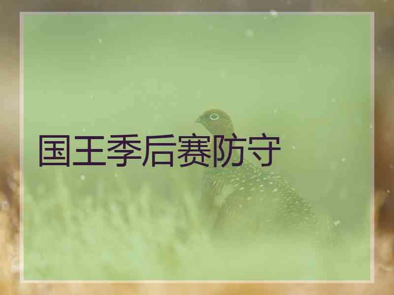 国王季后赛防守 国王季后赛防守