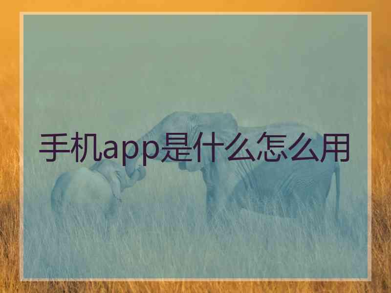 手机app是什么怎么用 手机app是什么怎么用