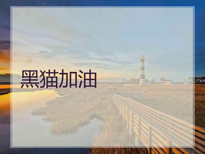黑猫加油 黑猫加油