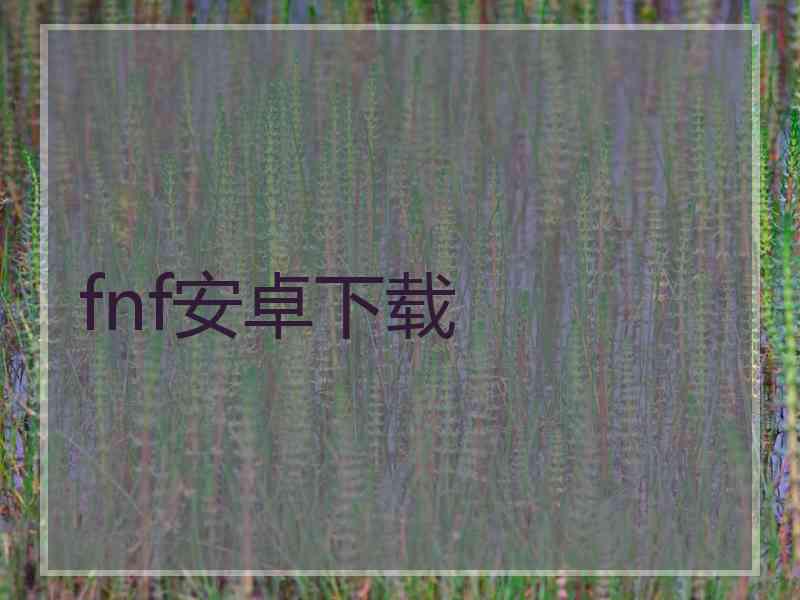 fnf安卓下载 fnf安卓下载