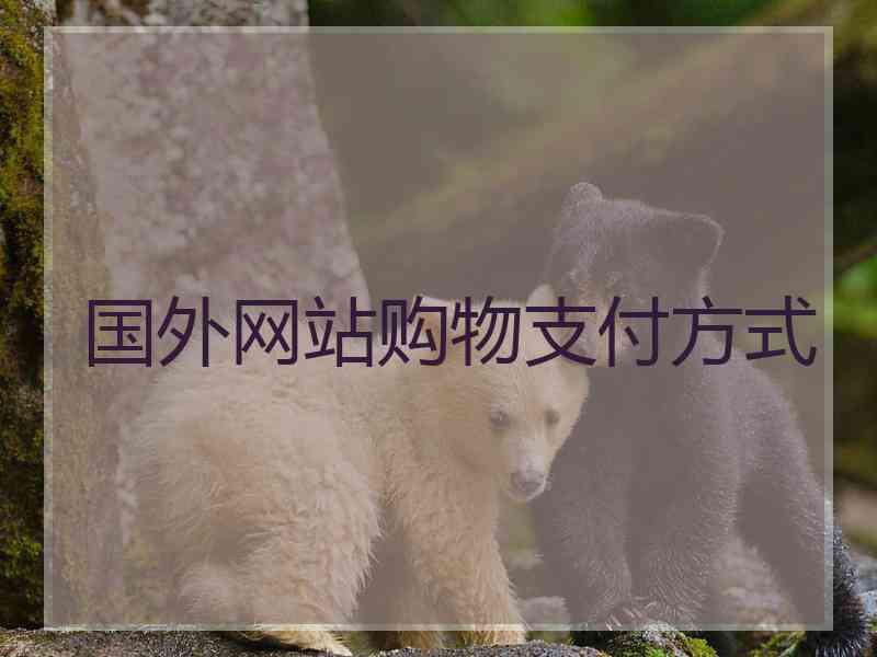 国外网站购物支付方式 国外网站购物支付方式