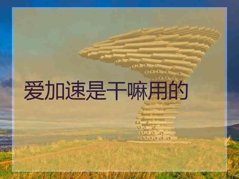 爱加速是干嘛用的 爱加速是干嘛用的