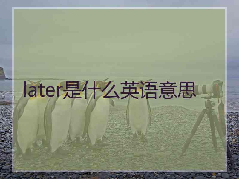 later是什么英语意思 later是什么英语意思