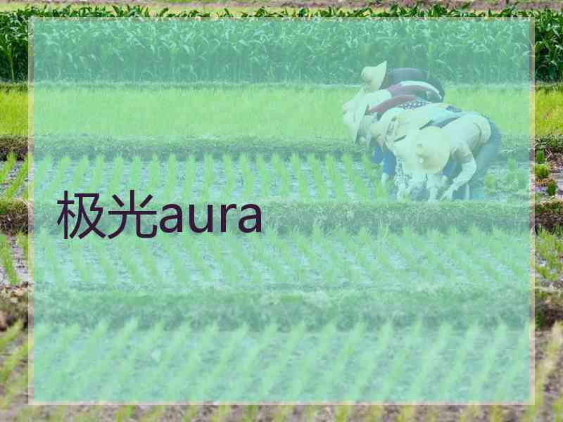 极光aura 极光aura