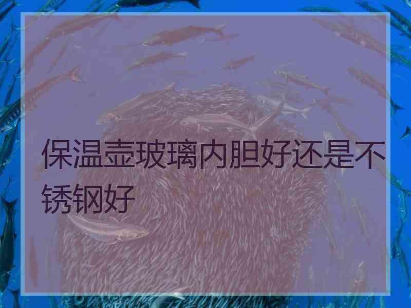 保温壶玻璃内胆好还是不锈钢好 保温壶玻璃内胆好还是不锈钢好