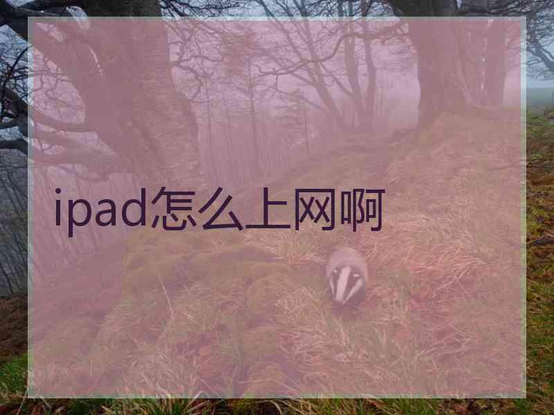 ipad怎么上网啊 ipad怎么上网啊