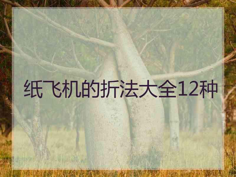 纸飞机的折法大全12种 纸飞机的折法大全12种
