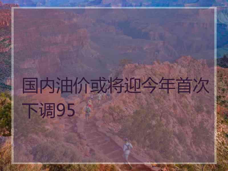 国内油价或将迎今年首次下调95 国内油价或将迎今年首次下调95