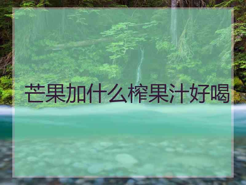 芒果加什么榨果汁好喝 芒果加什么榨果汁好喝