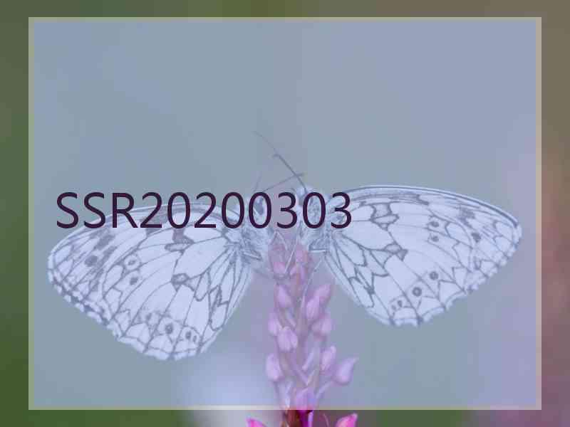 SSR20200303 SSR20200303