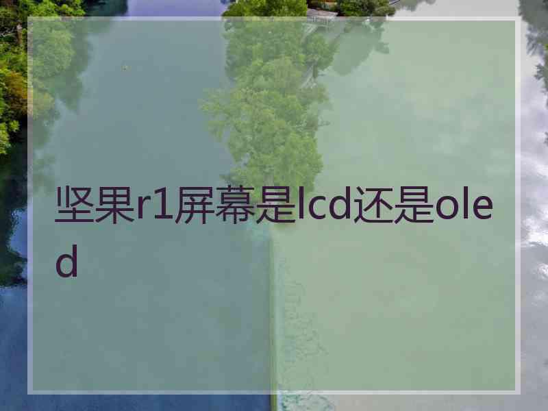 坚果r1屏幕是lcd还是oled 坚果r1屏幕是lcd还是oled
