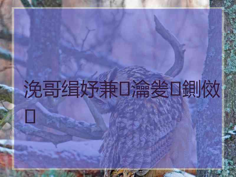 浼哥缉妤兼瀹夎鍘傚 浼哥缉妤兼瀹夎鍘傚