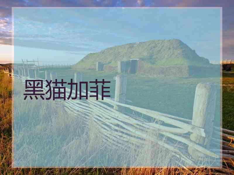 黑猫加菲 黑猫加菲