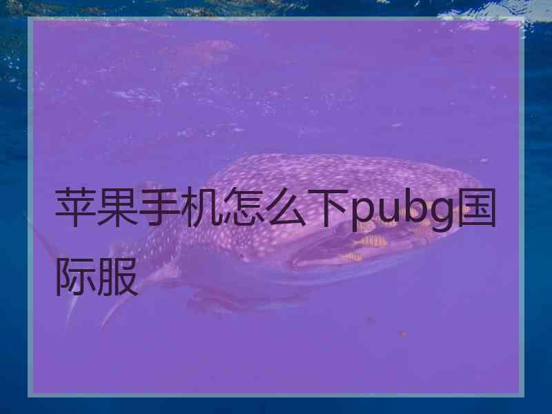 苹果手机怎么下pubg国际服 苹果手机怎么下pubg国际服