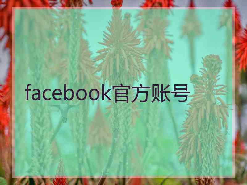 facebook官方账号 facebook官方账号