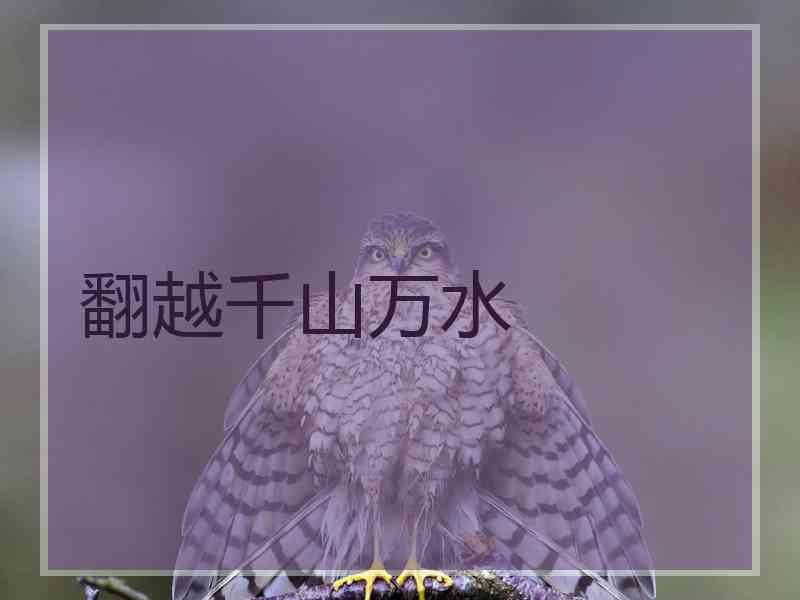 翻越千山万水 翻越千山万水