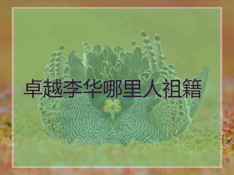 卓越李华哪里人祖籍 卓越李华哪里人祖籍