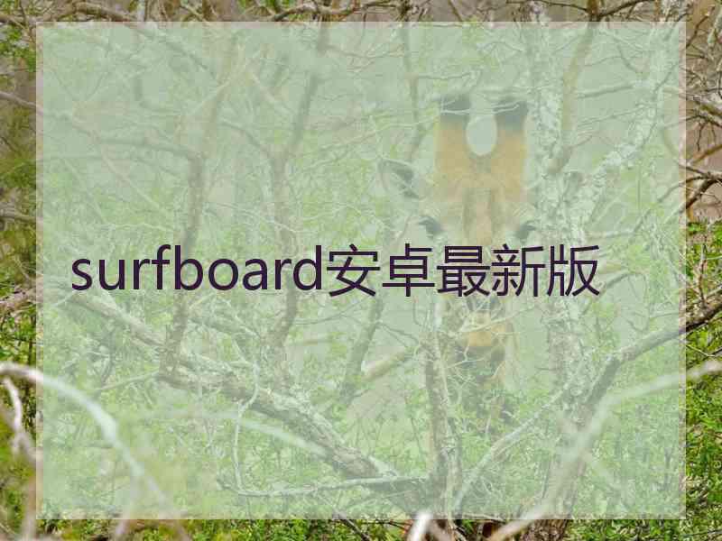 surfboard安卓最新版 surfboard安卓最新版