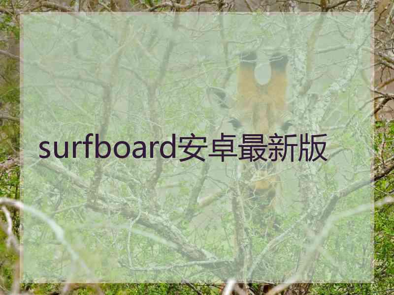 surfboard安卓最新版