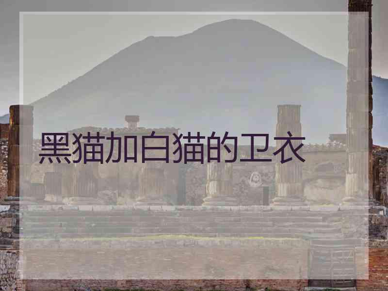 黑猫加白猫的卫衣 黑猫加白猫的卫衣