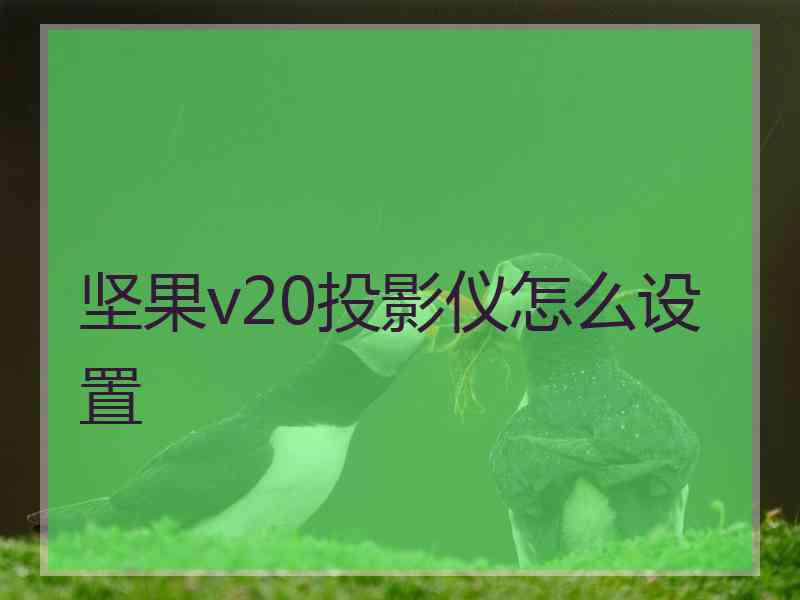 坚果v20投影仪怎么设置 坚果v20投影仪怎么设置