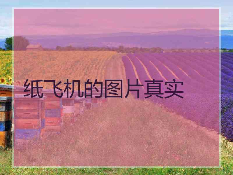 纸飞机的图片真实 纸飞机的图片真实