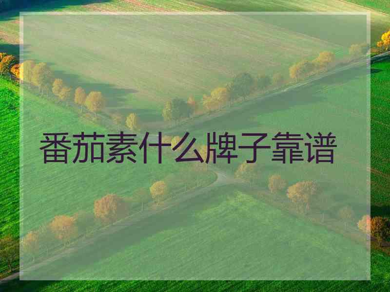 番茄素什么牌子靠谱 番茄素什么牌子靠谱