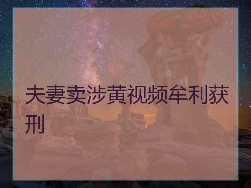 夫妻卖涉黄视频牟利获刑 夫妻卖涉黄视频牟利获刑