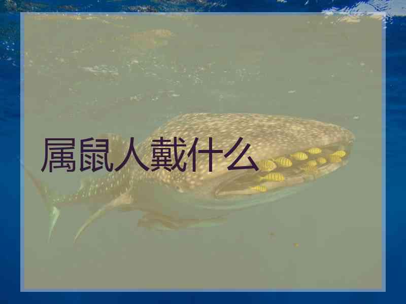 属鼠人戴什么 属鼠人戴什么