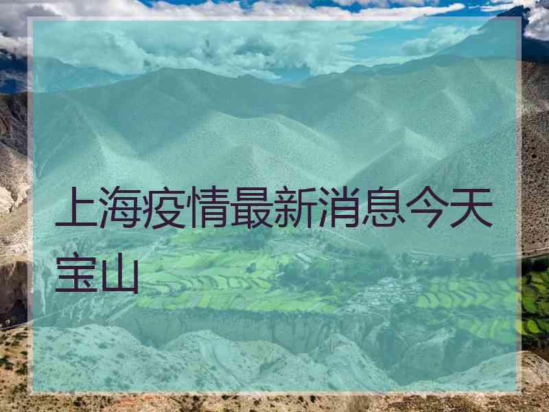 上海疫情最新消息今天宝山 上海疫情最新消息今天宝山