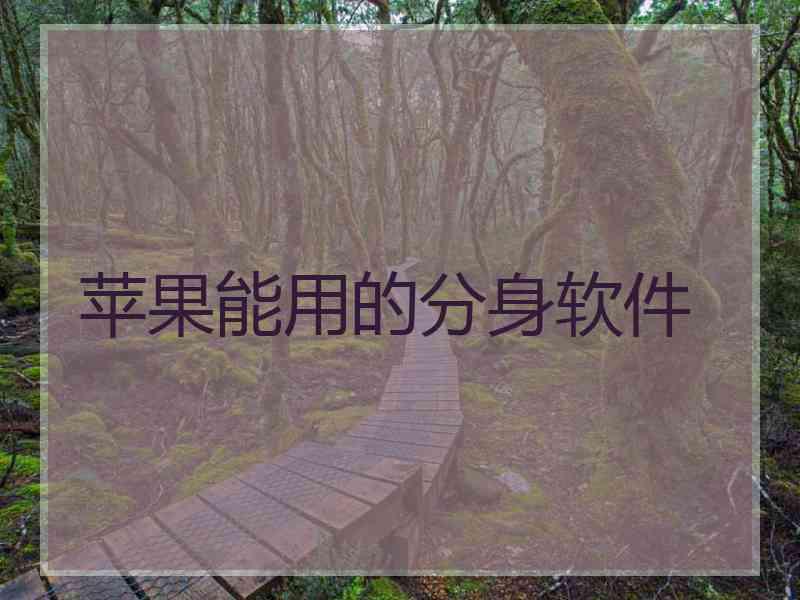 苹果能用的分身软件 苹果能用的分身软件