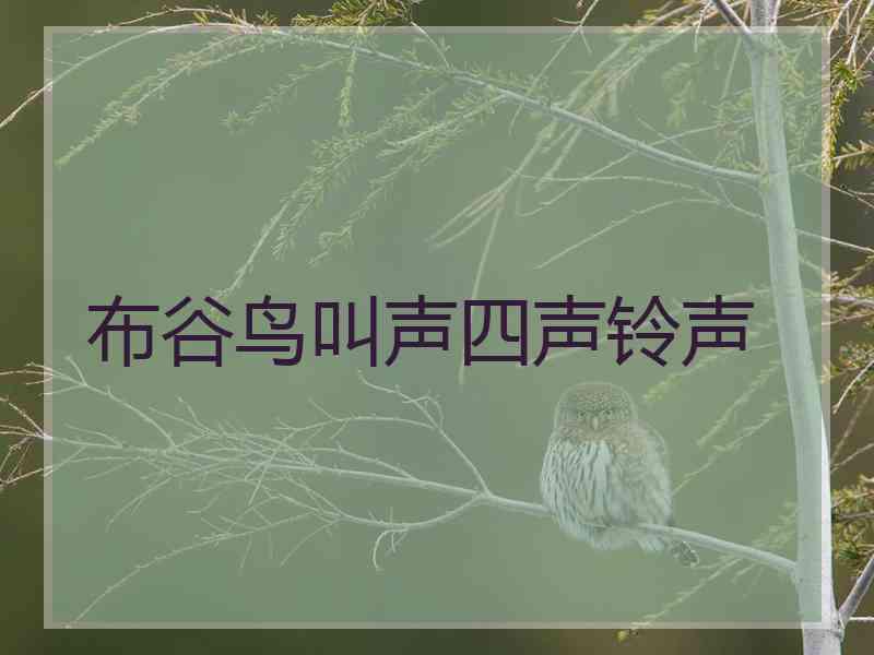 布谷鸟叫声四声铃声 布谷鸟叫声四声铃声