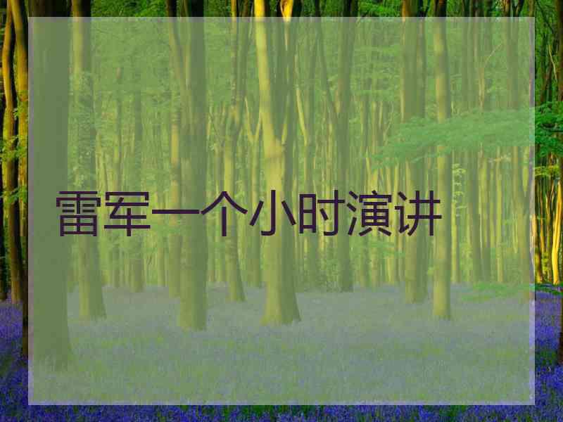 雷军一个小时演讲 雷军一个小时演讲