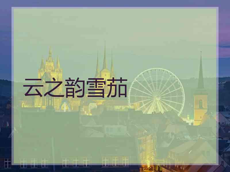 云之韵雪茄 云之韵雪茄