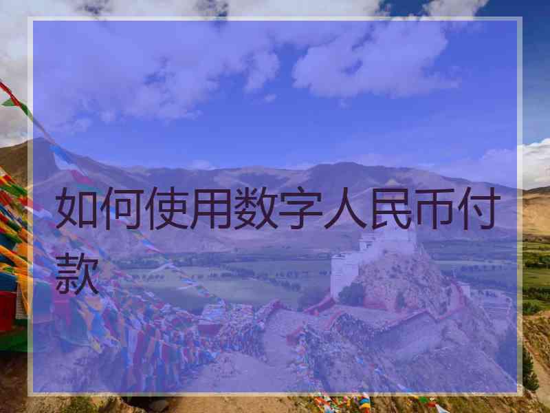 如何使用数字人民币付款 如何使用数字人民币付款